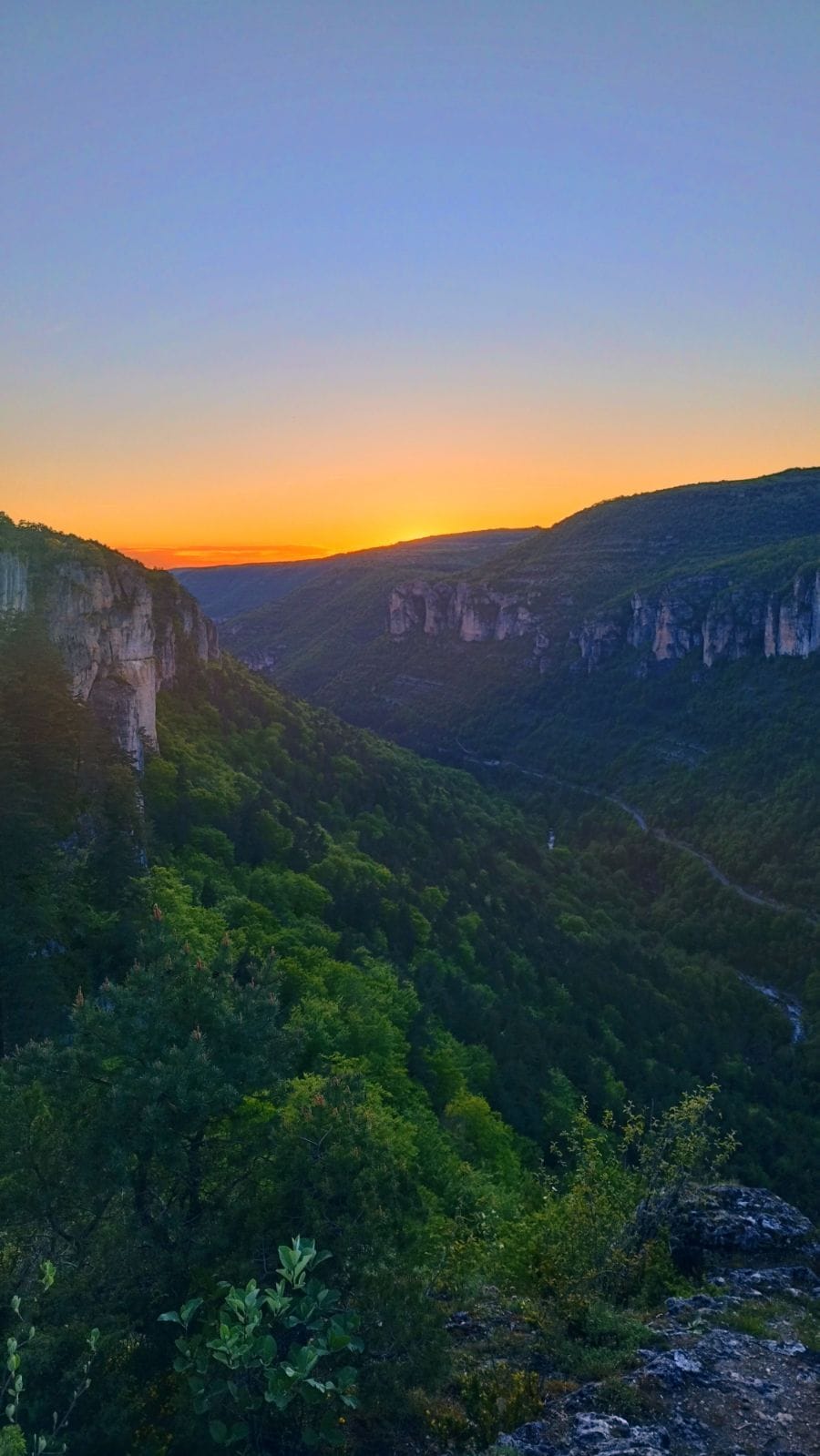 Profilo di Alessandro