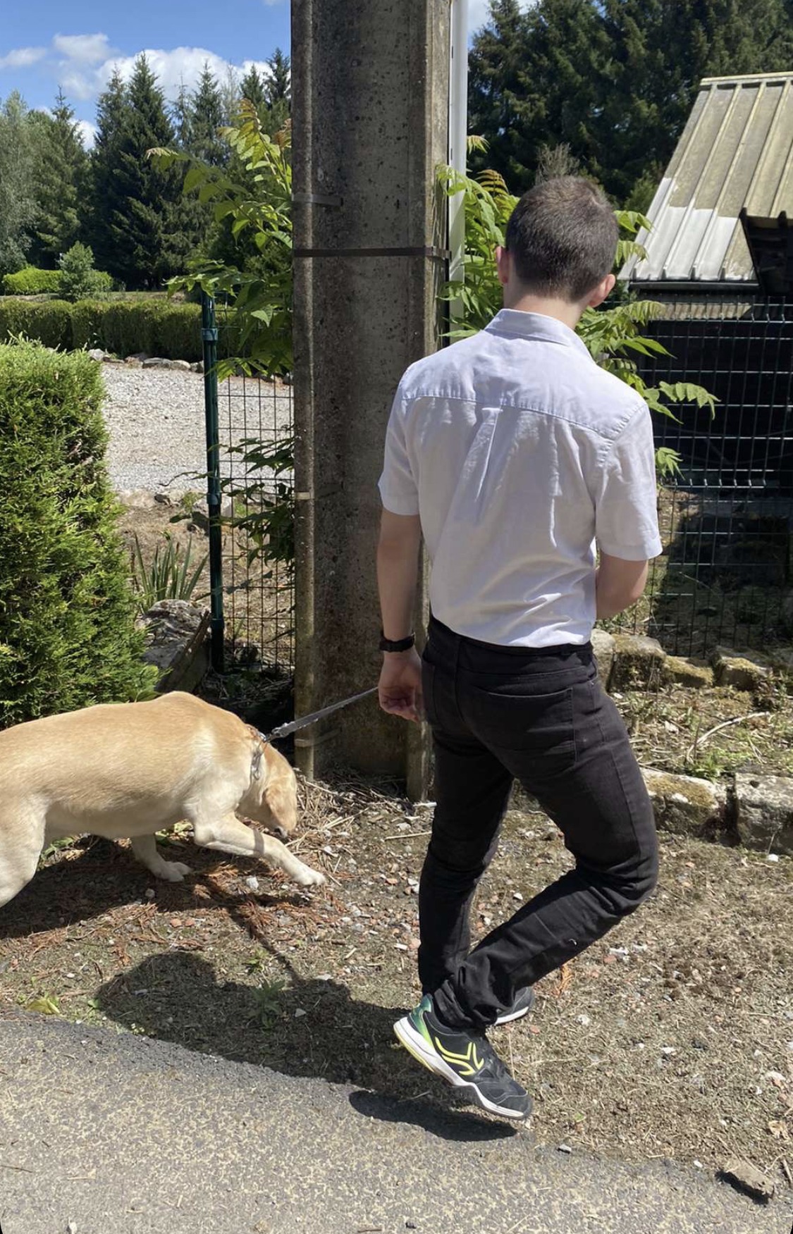 Profilo di Charafdine