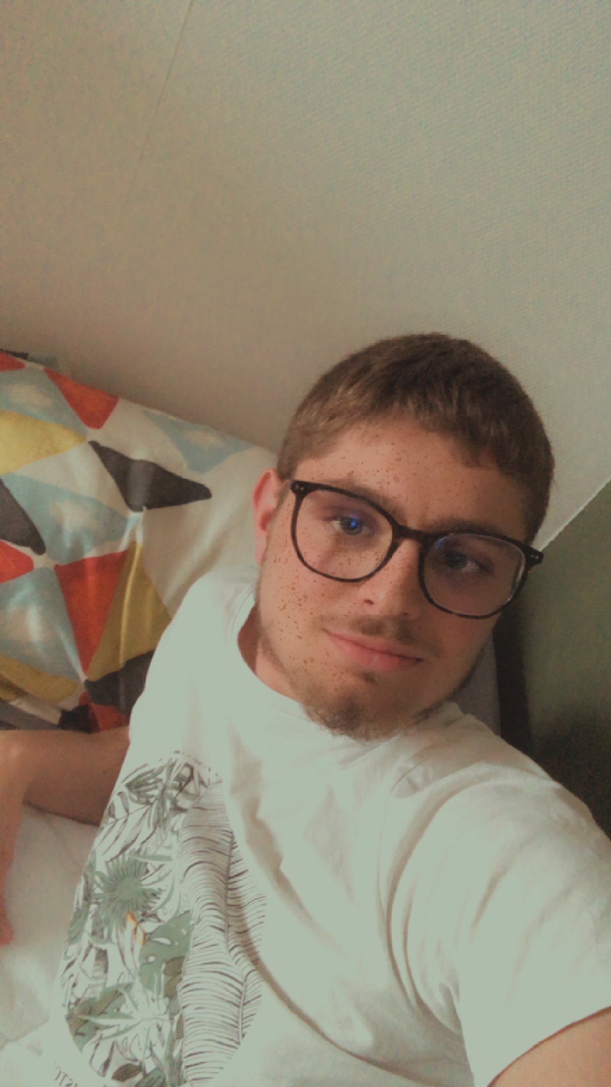 Profilo di Konstantin